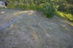 applying-weed-killer-scaled