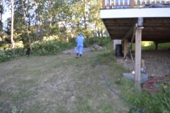 weed-killer-scaled