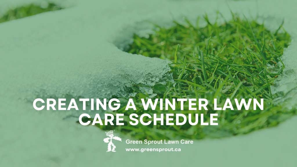 Creating a Winter Lawn Care Schedule: A Comprehensive Guide for Edmonton Residents