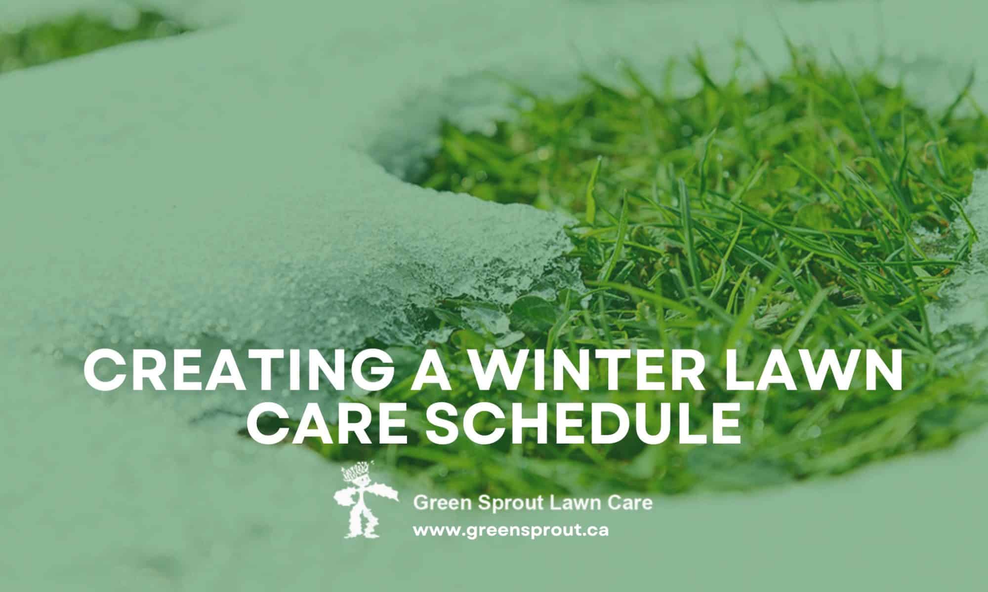 Winter Lawn Care Schedule
