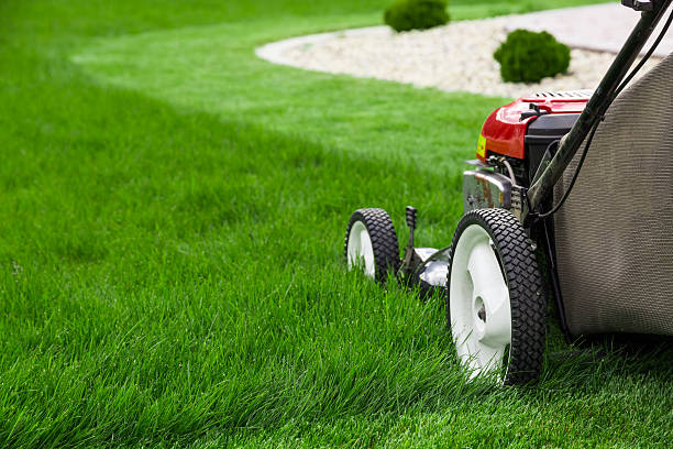 lawn care acheson
