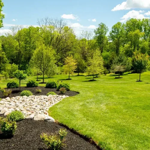 211205_BountifulAcres_Spring_171-1-1