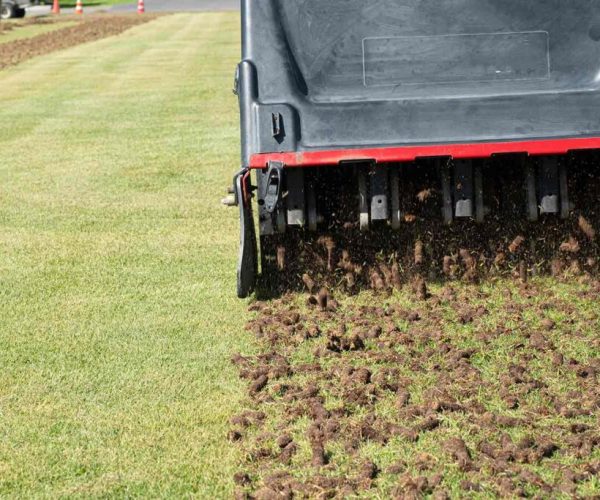 Core-Aeration-1024x683
