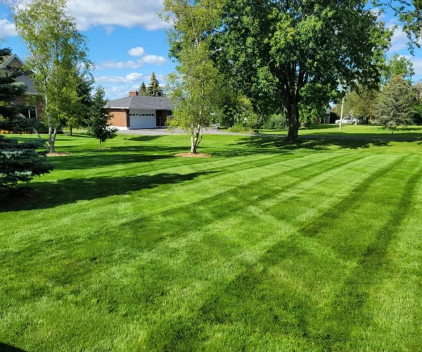 acreage-lawn-care