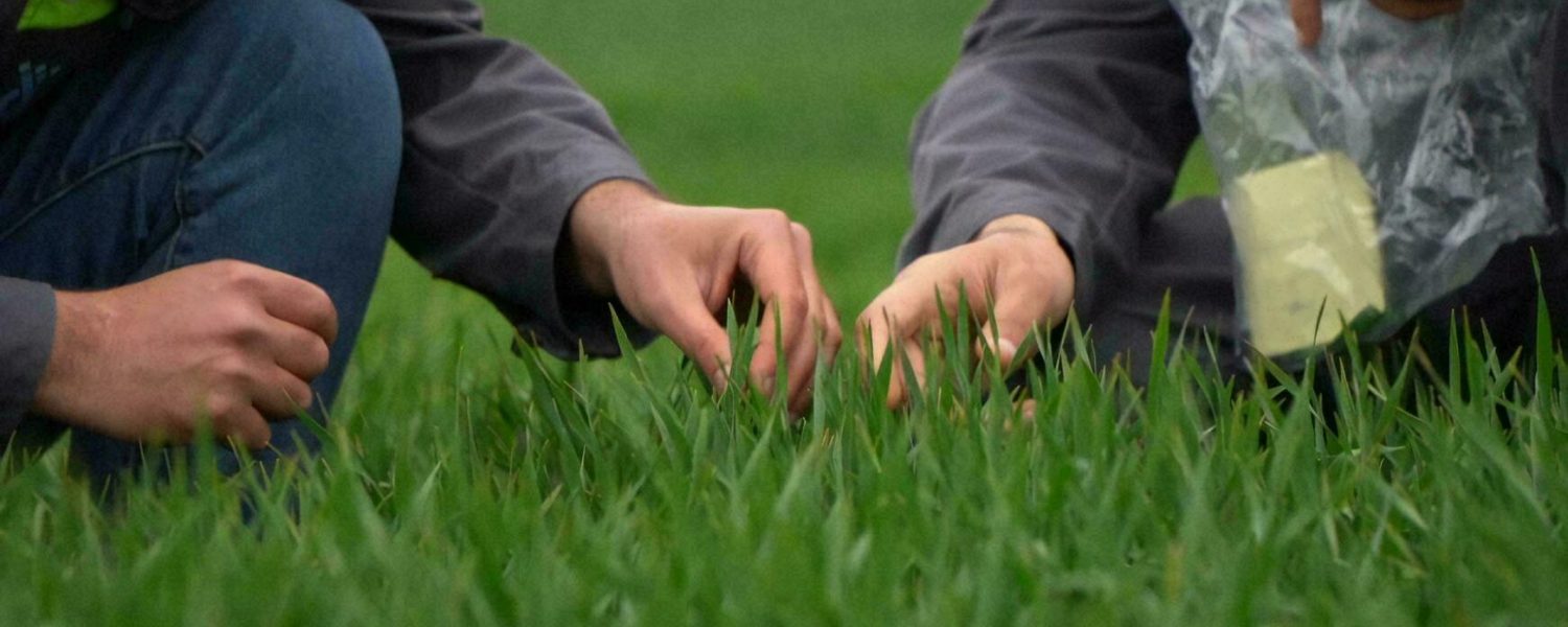 Residential Services