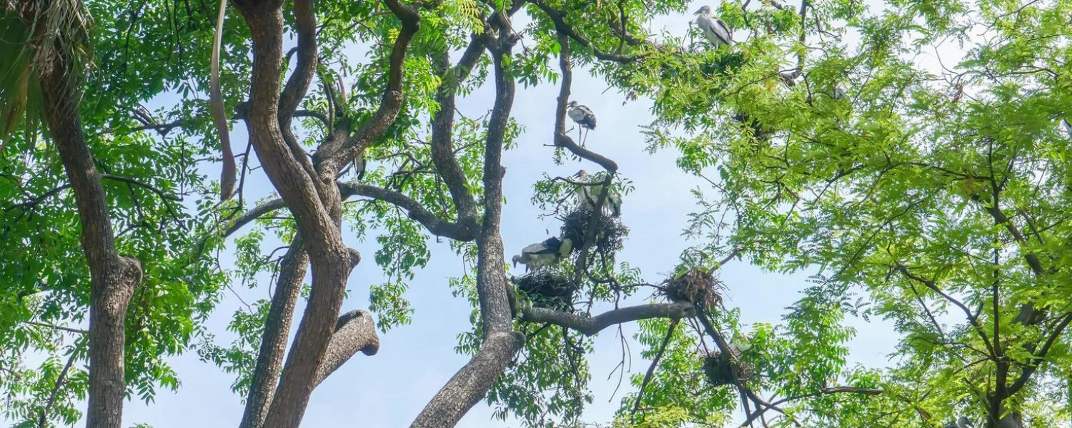 Residential Services