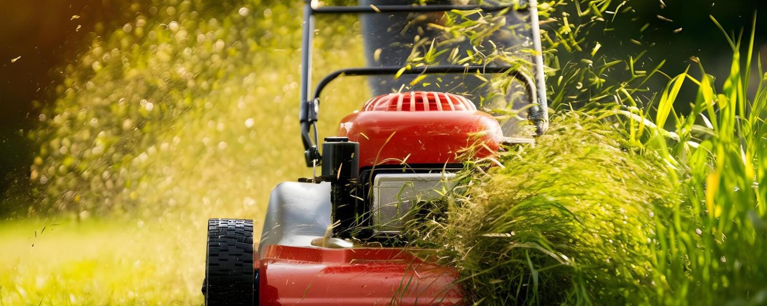 Residential Lawnmower