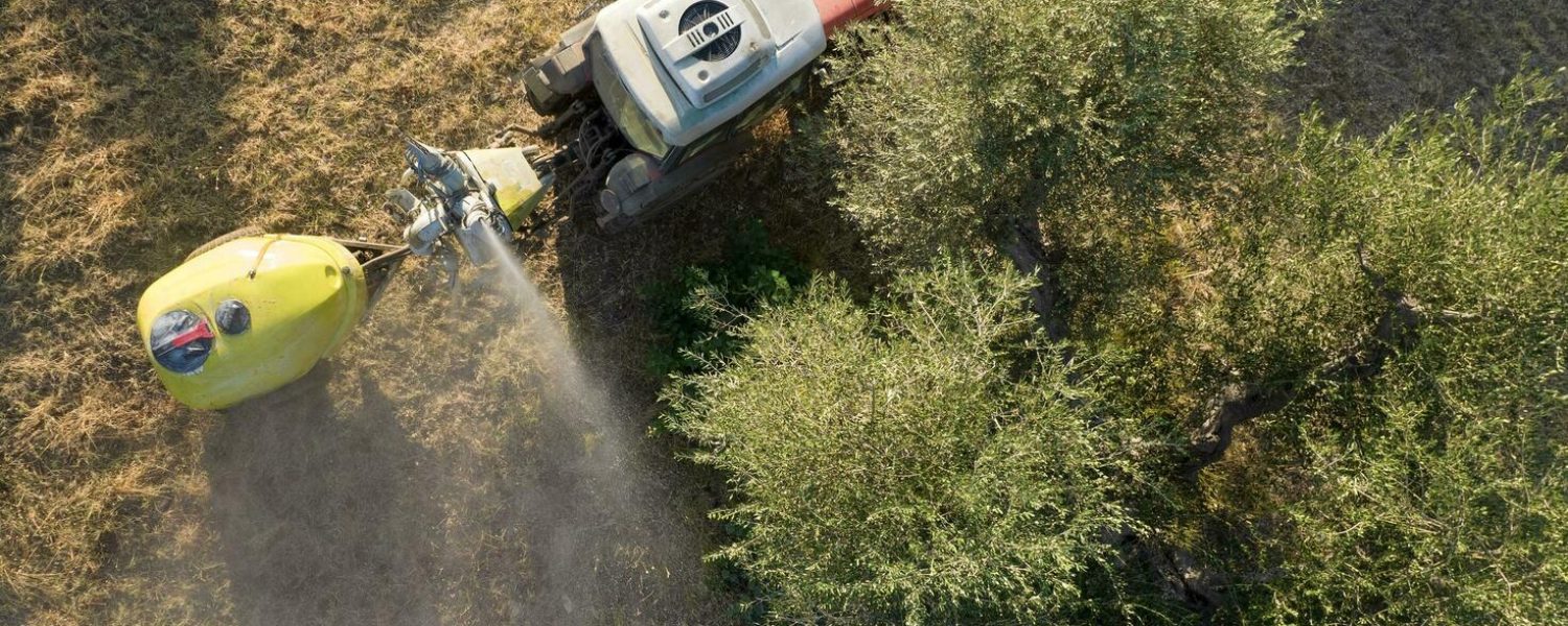 pesticide-treatment-for-an-olive-plantation-free-photo