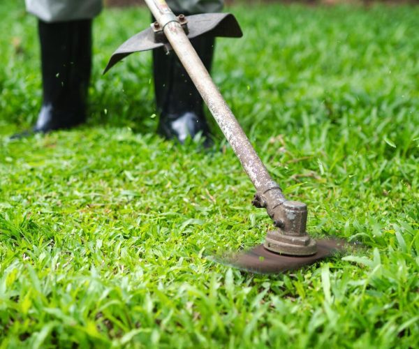 Residential Lawn Care