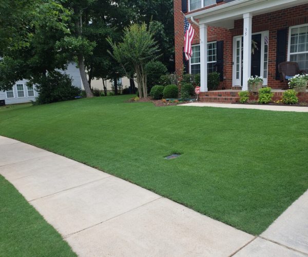 vacation-care-1024x768